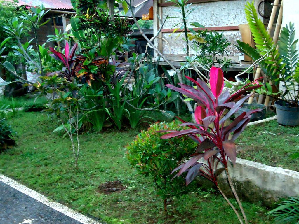 Dewa Put Guest House Ubud Dış mekan fotoğraf