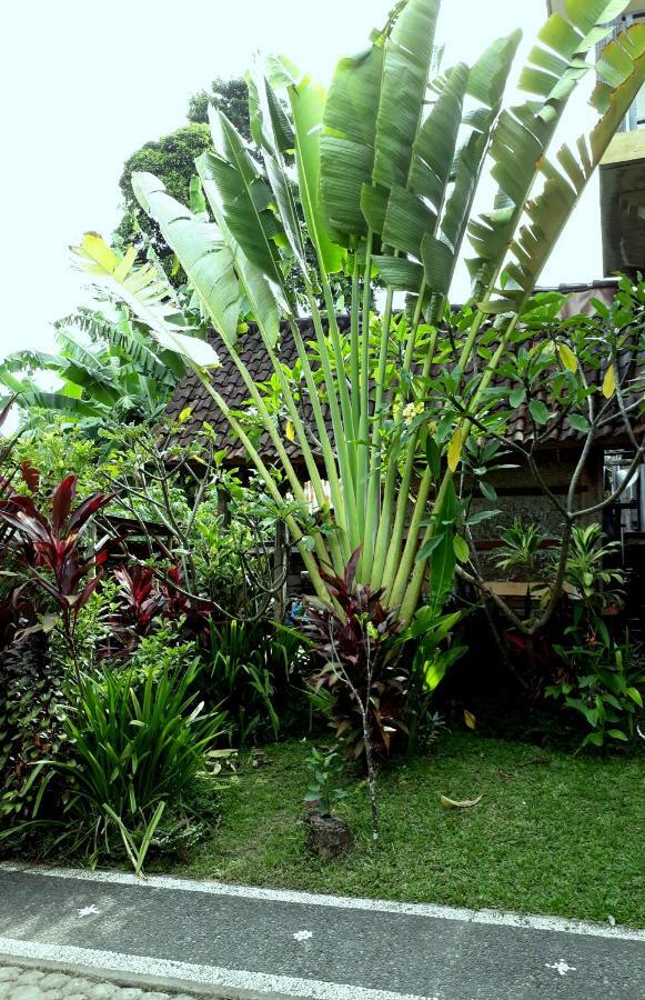 Dewa Put Guest House Ubud Dış mekan fotoğraf
